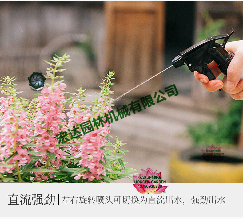 Product Image Gallery