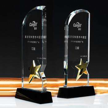 custom metal rising star award crystal trophy