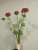 2 Onion flowers imitation flower fake Rose Series hot sale hot style