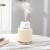 Light pet humidifier multi-function small night light three-in-one car office desktop cute cartoon humidifier