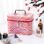Direct Sales Large Capacity Cosmetic Bag Portable Korean Portable Cosmetic Case Leopard Laser Three-Piece Storage Box