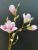 Simulation flower manufacturers direct home decoration flowers fake flowers wholesale simulation magnolia kapok