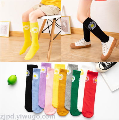 Children's Daisy socks heel less candy color joker pile socks in the middle tube side chrysanthemum men and women leg 
