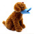 Pet duck muzzle dog adjustable Pet duck muzzle anti-bark bite silicone dog muzzle teddy poodle muzzle paper card package