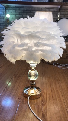 Nordic wind feather vertical lamp bedroom girl fishing web celebrity warm living room bedside lamp crystal lamp