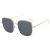 2021 GM New Sunglasses Bling Korean Large Rim Slim Xiaohongshu Same Style Metal Polarized Sunglasses
