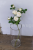 Transparent glass vase of rich bamboo arranged pieces of living room flower arrangement cylindrical straight cylinder modern simple wedding home