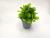 New frosted tub small green leaf simulation flower plastic leaves mixed color office decoration flower
