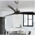 Modern Ceiling Fan Unique Fans with Lights Remote Control Light Blade Smart Industrial Kitchen Led Cool Cheap Room 26