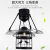 Modern Ceiling Fan Unique Fans with Lights Remote Control Light Blade Smart Industrial Kitchen Led Cool Cheap Room 62