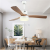 Modern Ceiling Fan Unique Fans with Lights Remote Control Light Blade Smart Industrial Kitchen Led Cool Cheap Room 20