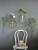 1 Wall Decorations Flowers and Plants Hydroponic Iron Pendant on the Wall Ins Nordic Greenery Bedroom Room Creation