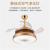 Modern Ceiling Fan Unique Fans with Lights Remote Control Light Blade Smart Industrial Kitchen Led Cool Cheap Room 21