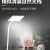 One Piece Dropshipping Led Eye Protection Desk Lamp Children Primary School Students Learning Plug-in Bedside Typhoon Desk Lamp