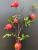Pomegranate fruit manufacturers direct simulation berries new Chinese home decoration fake flowers