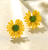 925 silver needle Daisy earrings with the right zhilong simple small pure and fresh Daisy flower earrings