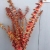 Direct manufacturers of natural plants eternal protection flowers bleach eucalyptus eucalyptus copper money flower vase 