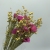 Star fruit crabapple dried flower wood chip combination flower production prosperity acacia beans eternal flower 