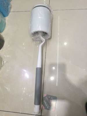 Web celebrity sanitary brush
