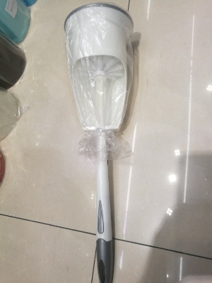 Web celebrity sanitary brush