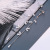 925 Silver Needle Simple Willow Leaf Tassel Long Earrings Elegant Crystal Metal Eardrops Petals Super Fairy Deep Earrings