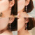 S925 Silver Long Fringe Earrings Fashion Elegant Zircon Earrings Eardrops Factory Direct Sales Wholesale Ear Hook Earrings