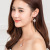 Korean Style All-Matching Graceful Zircon Earrings Long Women's Japanese and Korean Simple Eardrops Anti-Allergy Earrings Factory Wholesale Direct Sales
