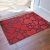 Fashionable household doormat Dally cushions two - color printed floor MATS