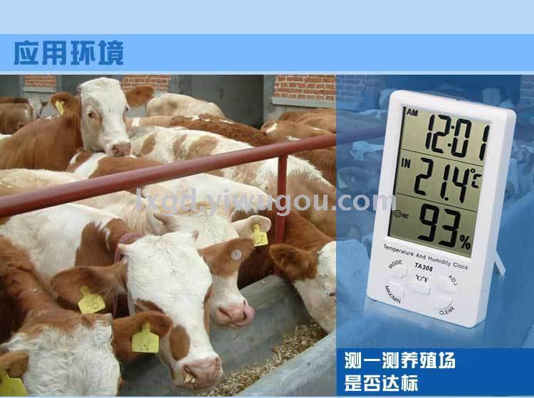 Product Image Gallery