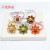 Korean Style Double Knotted Bamboo Hair Band Rubber Band Autumn Color Flower Five-Star Hair Band Headdress 2 Yuan Supply Wholesale