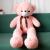 Plush Toy Doll Large Bed BEBEAR Super Cute Girl Ragdoll Birthday Pillow to Sleep