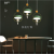 bird chandelier Nordic macaron three-head dining room light led bedroom single-head bar corridor chandelier