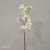 Single branch wild peony imitation flower artificial flower artificial flower furniture wedding decoration