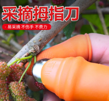 Pick pepper glove magic instrument for grape nipping special iron nail agricultural picking bean scissors pepper picking thumb knife