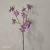 Single branch wild peony imitation flower artificial flower artificial flower furniture wedding decoration