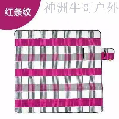 Shenzhou Niuge Outdoor Double-Sided Velvet Picnic Mat Waterproof Aluminum Film Double Thick Pearl Cotton Camping Moisture-Proof Mat
