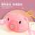 Piggy Bubble Camera Best-Seller on Douyin Bubble Machine Toys Children's Automatic Non-Leaking Electric Girl Heart Bubble Gun