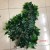 Artificial ficus leaves feel ficus branches false leaves ficus leaves garden engineering plant decoration