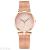 2020 new net belt watch fashion simple women's maple leaf watch ink style simple quartz watch
