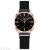 Douyin with a hot-selling foreign trade ladies fashion magnet watchband watch disc set diamond watch