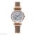 Direct foreign trade fashion set diamond star luminous wrist watch magnet buckle quartz watch magnet stone ladies watch