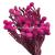 All natural plant dried flowers large silver fruit coral bean crafts flower arrangement with flowers