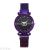 Manufacturers direct mantianxing watch fashion starry night watch magnetic buckle quartz watch magnet ladies watch