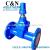 Manufacturer direct flange gate valve cast iron gate valve flange blind stem gate valve