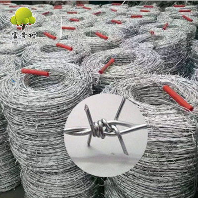 Malaysia Market 12# 2.8mm Galvanized Mild Steel Barbed Wire 2mm Barb Length Factory Direct Sale 