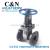 Electric gate valve factory direct sale gate valve