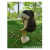 Douyin-web celebrity hot style headgear manufacturers straight spot supply ladies fashion headgear wig