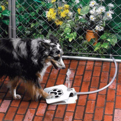 Dispenpet supplies pet water dispenser dog trample water dispenser dog water feeder