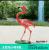 Flamingo garden resin crafts