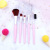 Factory Wholesale Five PCs Makeup Brush Set Blush Powder Foundation Brush Simple Multifunctional Beauty Tools Exclusive for Cross-Border
